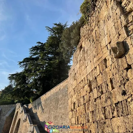 Locazione Turistica Le Magnolie Apartment *